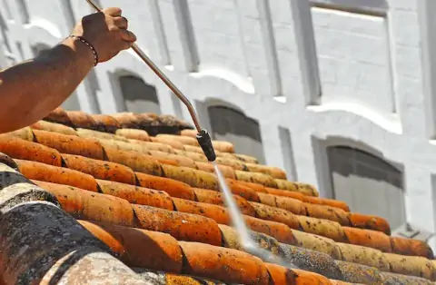 Nettoyage de toitures - Terres de Bord